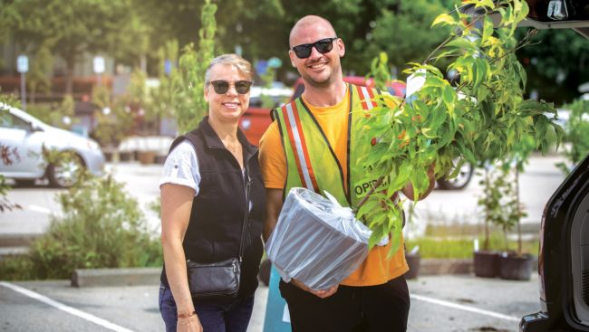 Plant a tree for $20: Surrey’s popular sale returns in August
