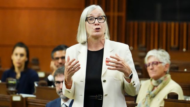 Number of temporary worker applications falls as fines rise, government says