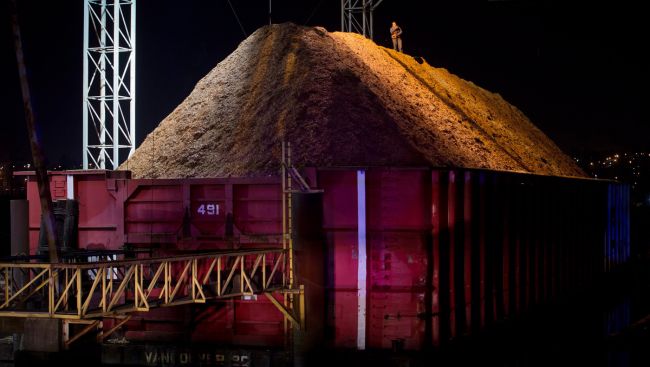 First Nations-owned Vancouver Island wood chip plant set to close in March