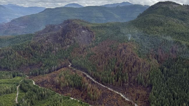 Vancouver Island wildfire downgraded again, no longer a fire of note