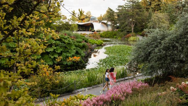 VanDusen Botanical Garden celebrates 50 blooming years