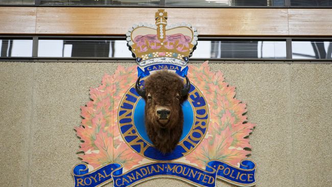 Veterinary sedative found in counterfeit pain medication: Manitoba RCMP