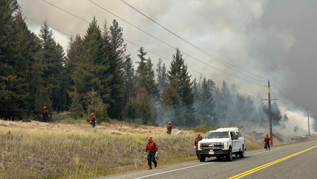 Police in B.C. launch wildfires arson investigations in Interior and Metro Vancouver