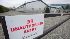 Half of B.C. is deemed control zone in effort to stop avian flu in poultry