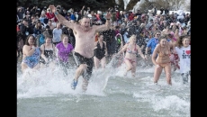Canadian polar bear swims to ring in 2021 with pandemic-friendly charity events