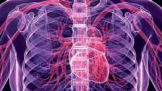 3D-printed organs for transplants a reality soon