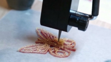 3-D Candy-Maker Billed As World's First Arrives In New York