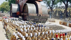 Who Finished Over 9 Lakh Litres Of Seized Alcohol In Bihar? Police Say Rats Did