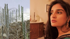 This Pakistani Girl's Facebook Post On India-Pakistan Relationship Is A Must Read