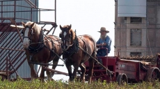 Former Ontario Farmers Creating Amish Paradise On Prince Edward Island
