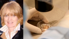 Sperm Donor At Centre Of Canadian Lawsuits Admits To False Info: Police