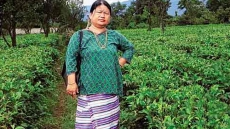 'Tea Lady' Basamlu Krisikro, Inspires People To Give Up Opium Cultivation In Arunachal