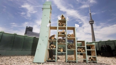Buzz In: Fairmont Chain Welcomes Pollinators To Bee Hotels Across Canada