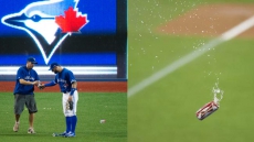 After Debris-Tossing Incident, Blue Jays Not Selling Beer In Cans In Top Level Of Rogers Centre