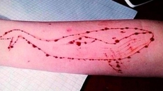 Beware! This Blue Whale Online Suicide Challenge Is Scaring Parents World Over