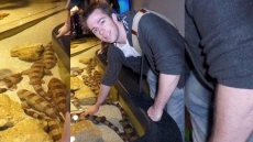 Victims In Toronto Crossbow Attack Part Of Same Family: Neighbour