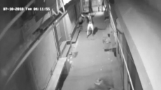 WATCH: Six Burglars Caught Dancing On CCTV Arrested In Delhi