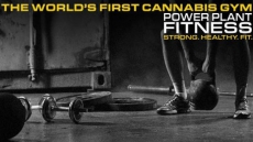 World’s First Cannabis Gym Wants To Get You High And Pumped