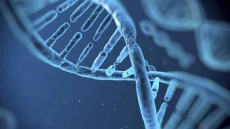 Decoded: What 'Silences' X Chromosome In Girls