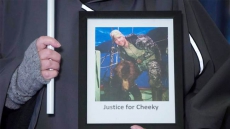 Clayton Stoner's Dad Says He Doesn't Believe 'Cheeky' The Grizzly Bear Existed