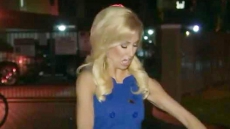 Watch Video: Flying COCKROACH Lands On Reporter Just Before She Goes LIVE!