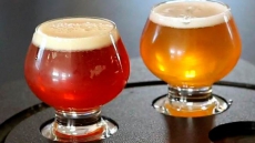 Universities Tap Into Growth In Craft Beer Industry By Offering Business Classes