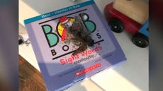 Toronto Family Seeks Compensation For Trashed Home In 'Horrific' Rental-Gone-Wrong