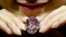 Interpol Warrants Against 4 Indian-Origin Businessmen Over Rs 2.5-Billion Rare Diamond