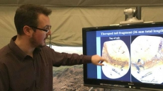 Saskatchewan Researcher Helps ID Feathered Dinosaur Vertebrae Encased In Amber