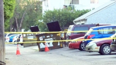 Edmonton Homicide Victim Found In Shopping Cart Had Troubled Life