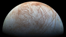 Signs of Europa's plumes remain elusive