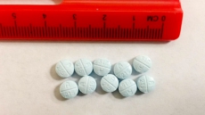 Shambhala Music Fest Crowdfunds For Drug-Checking Machine Amid Fentanyl Overdose Crisis