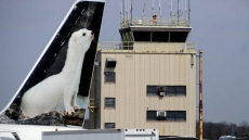 Breastfeeding Pilots' Claims Against Airline Seen As Advance