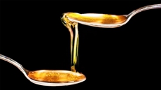 Dilute Honey May Prove Useful In Fighting Urine Infections