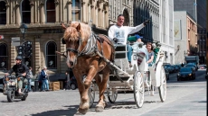 Montreal Imposes One-year Ban On Horse-Drawn Carriages Due To Safety Concerns