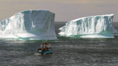 'It's Just Magical': Lots To See In Iceberg Alley Off Northern Newfoundland