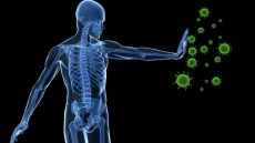 How immune system triggers psychological disorders