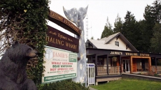 Grounded Boat Owned By Jamie's Whaling Station Now Off Rocks Near Tofino, B.C.