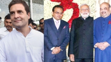 Amazing Transition From 'Beti Bachao To Beta Bachao', Says Rahul Gandhi On Amit Shah's Son