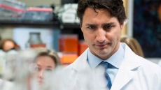 Federal Government To Provide $20m For Toronto Stem Cell Research: Justin Trudeau