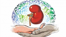 Want To Get Rid Off Kidney Stones Without Medical Procedures? Try Roller Coaster Rides