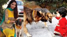 Did You Know There Is A Dog Puja Festival Called Kukur Tihar In Nepal On Choti Diwali Day?