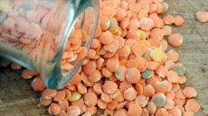 Protein-Packed Chickpeas, Lentils Popular During 2016, The International Year Of Pulses