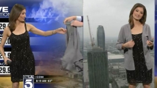 Los Angeles Weather Anchor's Dress Sparks Social Media Firestorm