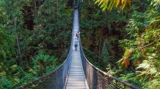 Divers To Recover Body Of Young Man From Vancouver’s Lynn Canyon: RCMP