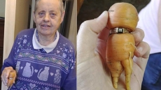 'It Still Fits': Canadian Woman, 84 Finds Lost ENGAGEMENT RING On A CARROT After 13 Years!