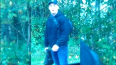 Suspect Arrested In Fort Langley On Warrants Stretching From B.C. To Ontario