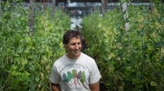 Large-Scale Farm Created Amid Poverty, Pavement In Vancouver's Downtown Eastside