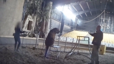 Watch: Life Of Pi Animal Trainer Caught On Camera Whipping A Tiger At Ontario Zoo, SPCA Probes