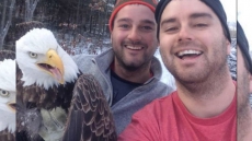 Two Canadian Brothers Free Eagle From Trap; Video Of Release Goes Viral